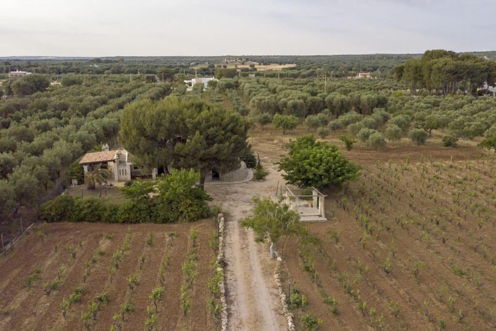 Villa Principe Degli Olivi Maruggio Extérieur photo